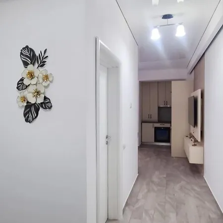 Luca Mamaia Nord Năvodari